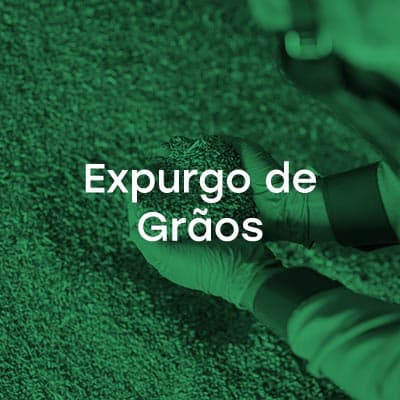 Expurgo de Grãos - Desinservice Expurgo de Grãos
