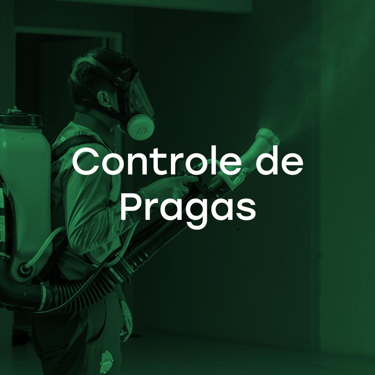 Controle de Pragas - Dedetização - Desinservice - Santa Maria Controle de Pragas - Dedetização - Desinservice - Santa Maria